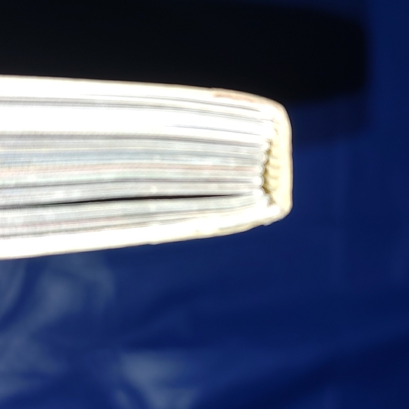 Scholastic National Audubon First Field Guide Reptiles, Insects, and Mammals - Picture 14 of 16